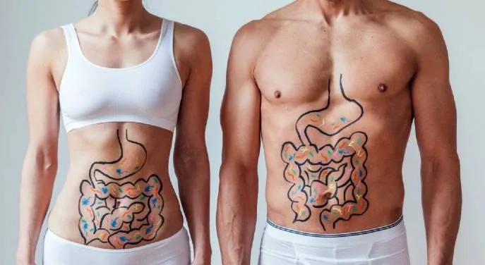 Two people with a digestive system drawn on their torsos
