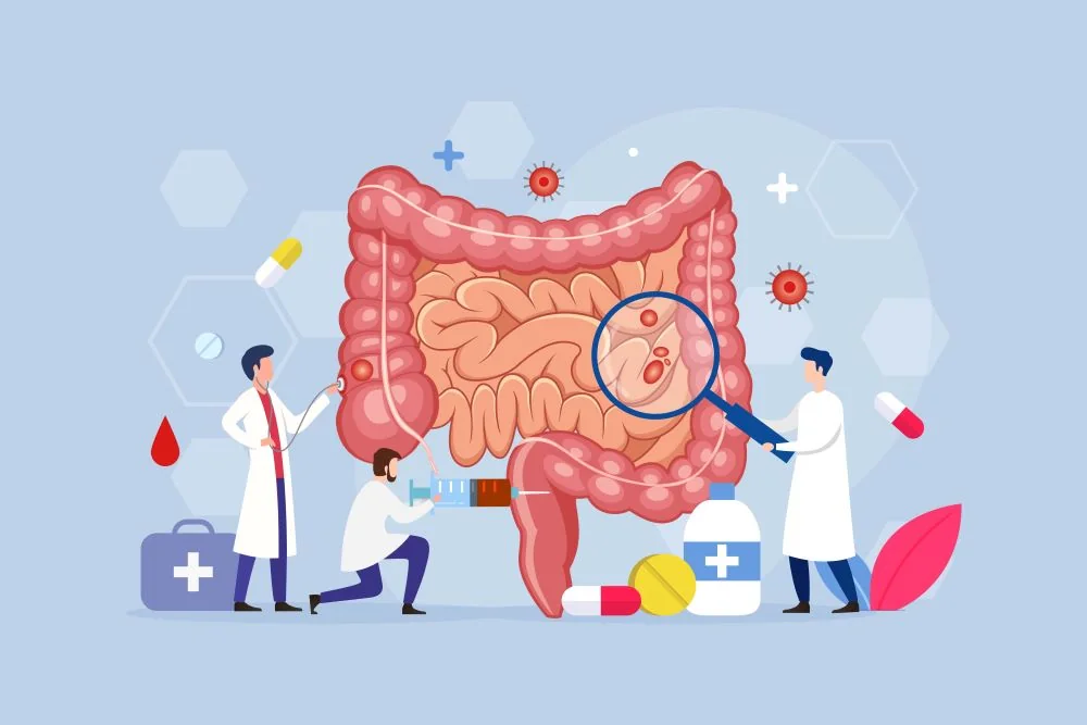 Illustration of scientists studying the digestive system