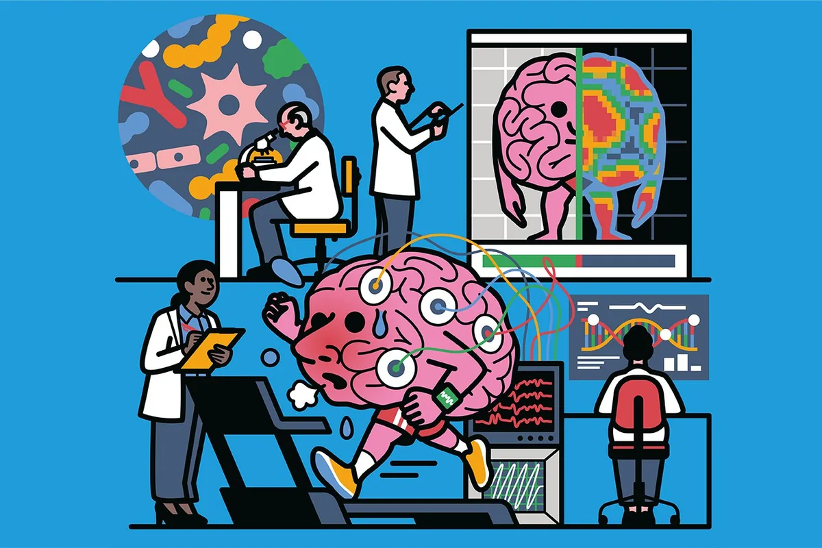 Illustration of researchers studying the brain